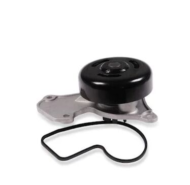 Clio 5-V Devirdaim (Su Pompası) 1.0 Sce B4D 2020-> 210102662R -Renault Mais