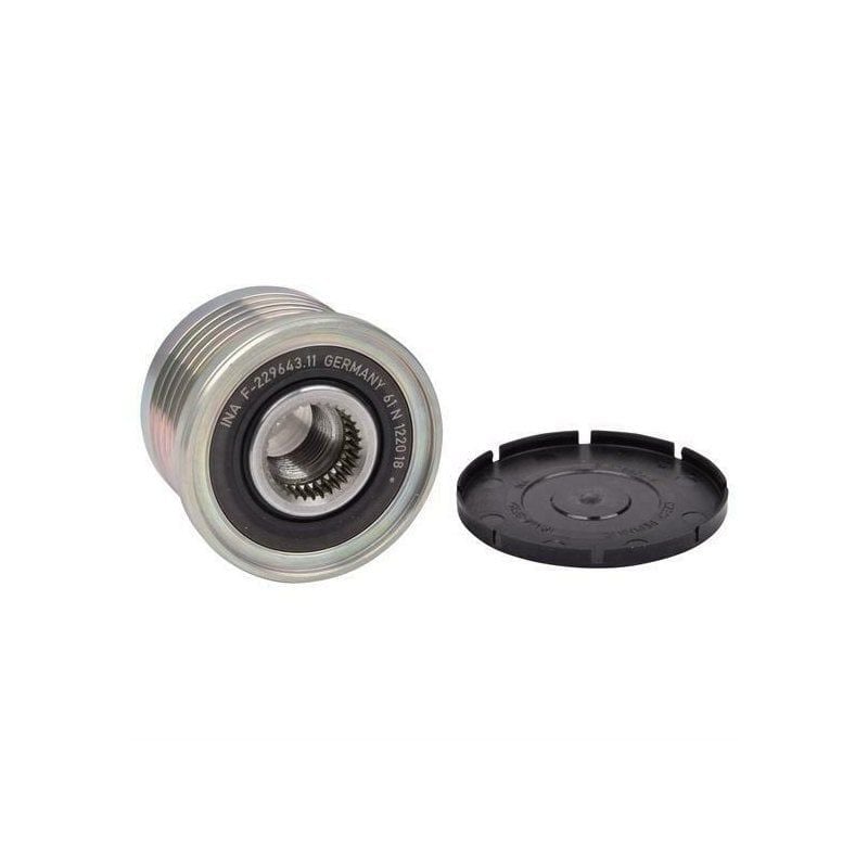Laguna 2-II Trafic 2-II Alternatör Kasnağı (Rulmanlı 5 Kanal) 1.9 Dci F9Q 535004810 -Ina