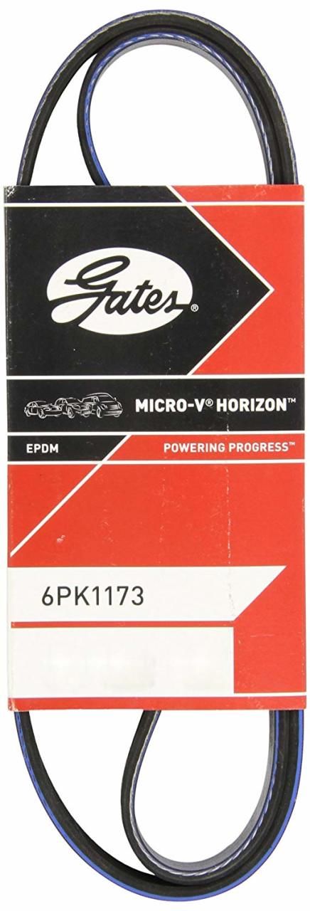 R19 Europa Alternatör V Kayışı 1.9 F8Q (Dizel) 7700743549 -Gates