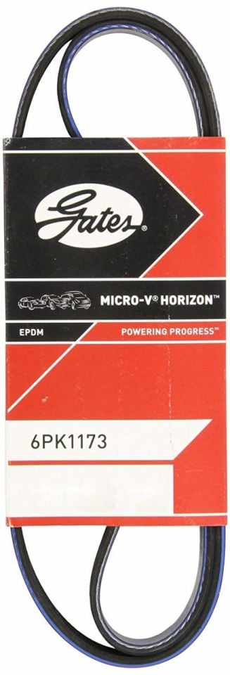 R19 Europa Alternatör V Kayışı 1.9 F8Q (Dizel) 7700743549 -Gates