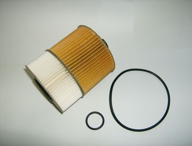 Espace IV 3.0 16Valf V6 Dizel Yağ Filitresi 7701474004 -Bosch
