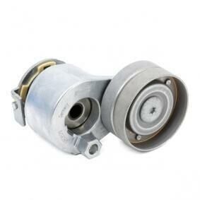 Megane 2-II Alternatör Gergi Rulmanı Komple 1.9 Dci F9Q 8200905328 -Ina