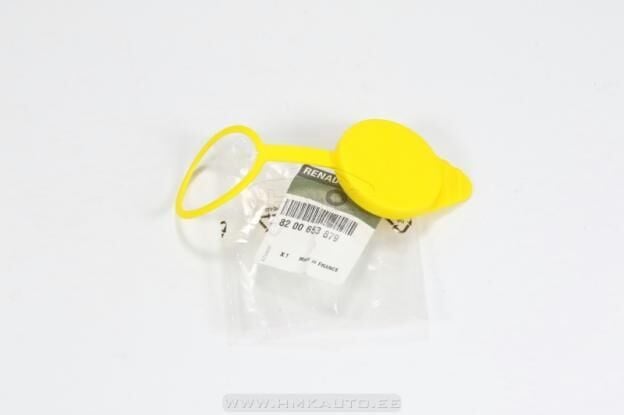 Master 3-III Cam Su Fiskiye Depo Kapağı (2010-2020)  8200653879 -Renault Mais
